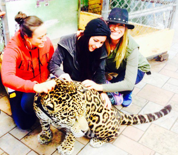 Rayne and friends petting a leopard in Ensenada, Mexico. 
