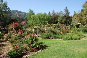 Descanso Gardens in La Canada, Ca. 